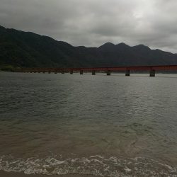 マゴ・ヒラ　フィッシング