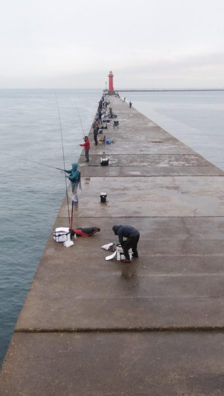 雨の播磨新島釣行