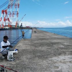 久しぶりの播磨新島釣行