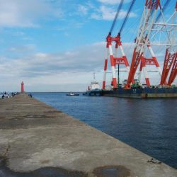 僅かな時合いを捉えました