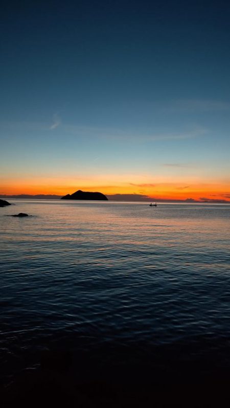 TEAMゲッソー調査隊