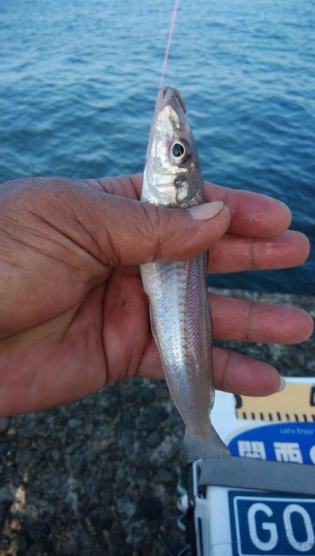 活性が上がり始めた播磨新島のキス