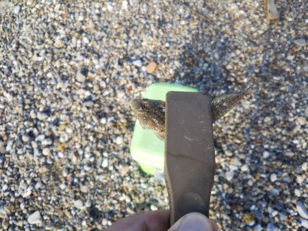 ちょい投げ7目釣り