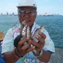 良型キスが釣れ始めました