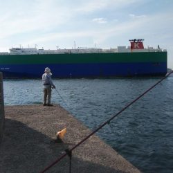 少しづつキスの型が良くなりました