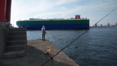 少しづつキスの型が良くなりました