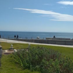 のませでメジロ、シオ