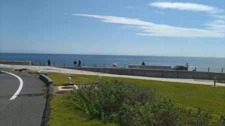 のませでメジロ、シオ