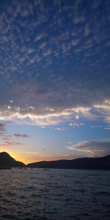 アオリ狙いで数か所釣行