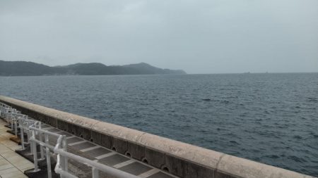 アジはいません