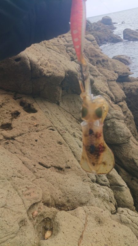 トップでツバス