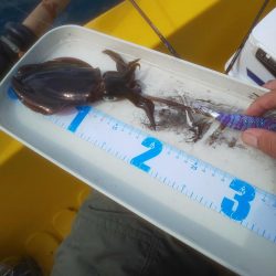 溜まり場見つけられず