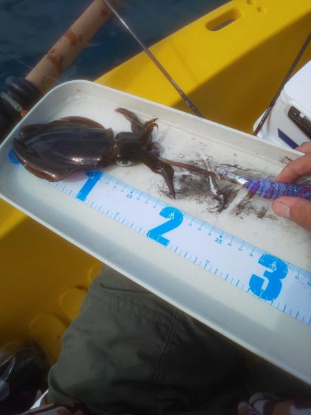 溜まり場見つけられず