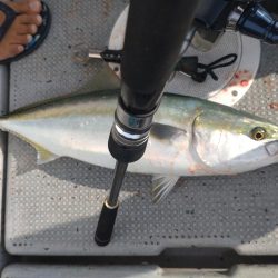 岩国沖の開幕?!