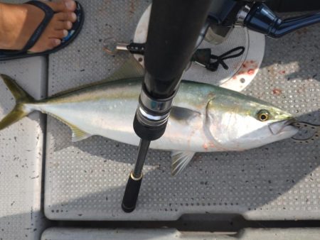 岩国沖の開幕?!