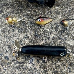 自作レジンバイブでサバ