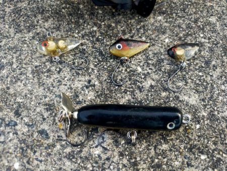 自作レジンバイブでサバ