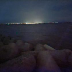 タチウオは楽しい☆