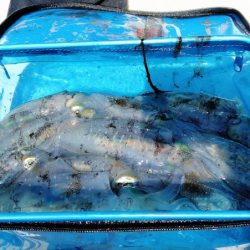 3ヶ月ぶり釣行。