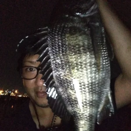 夜釣り行ってきました