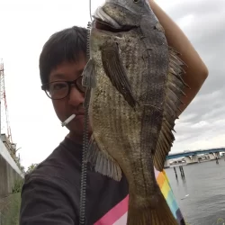 朝練してきました