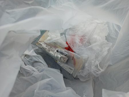 サゴシが出始めてますね