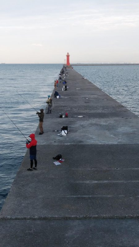 台風通過後の播磨新島キス調査