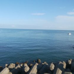 アオリイカ1杯!キジハタ2匹