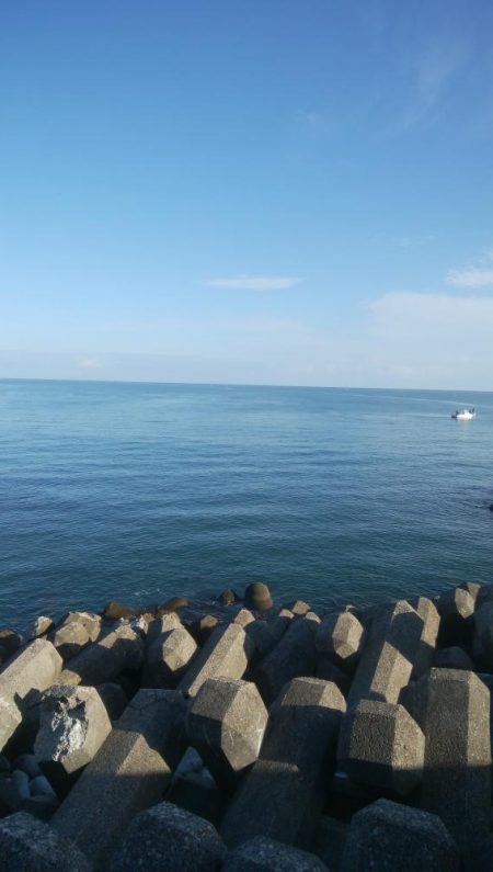 アオリイカ1杯!キジハタ2匹