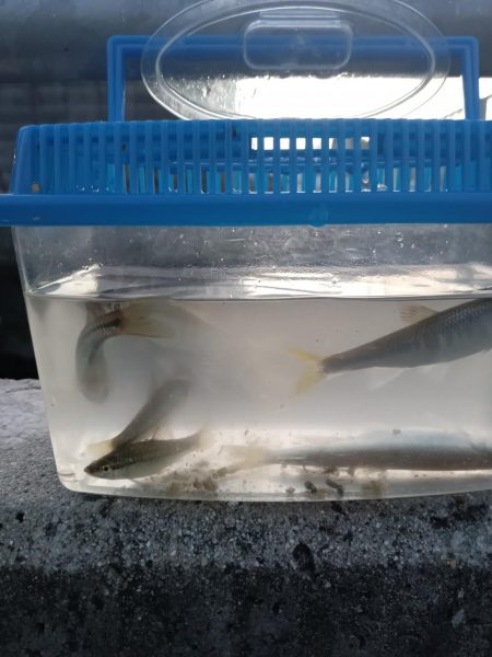 子供のお供に！