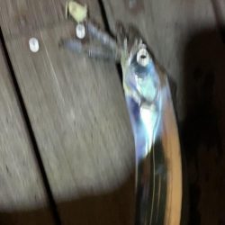 淡路島観光ホテルにて夜釣り。太刀魚釣れました。