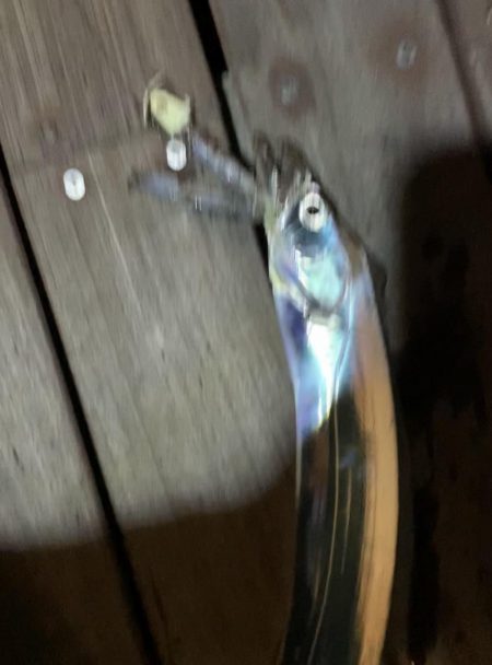 淡路島観光ホテルにて夜釣り。太刀魚釣れました。