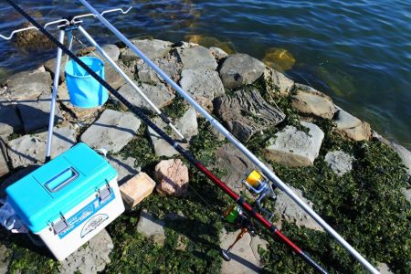 キス釣り ガッチョが多い