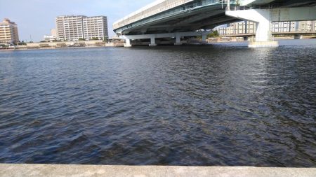 秋の小チヌのなか45㎝ゲット