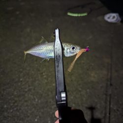 本命ゲットしましたが