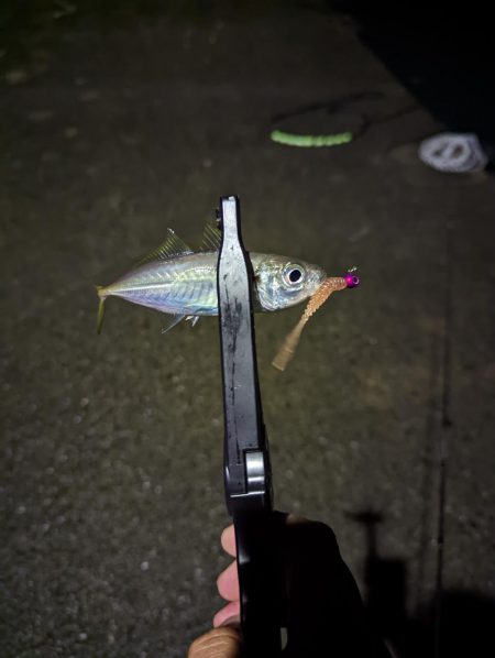 本命ゲットしましたが