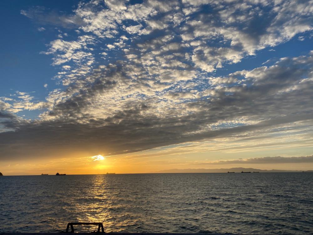 今季初タチウオ