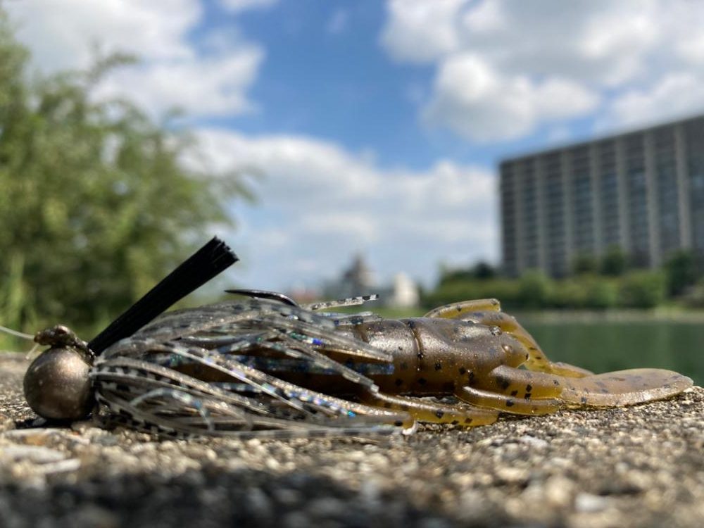 ラバージグで50up