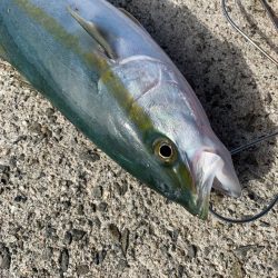 帰り際になんとか！