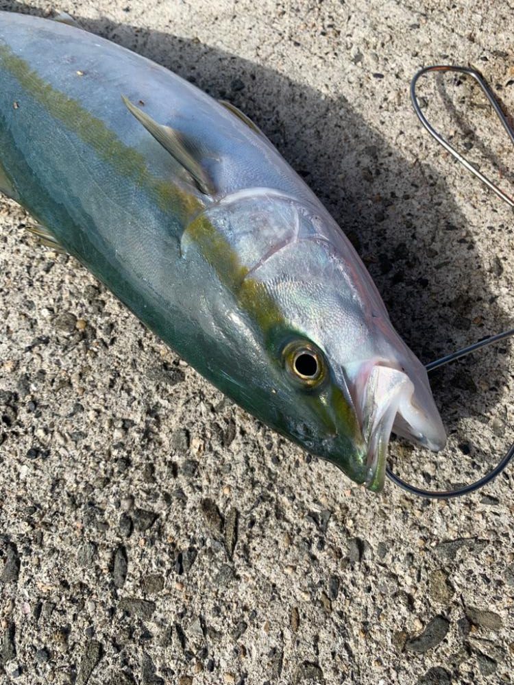 帰り際になんとか！