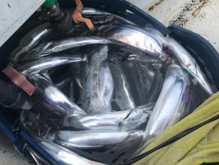 キングバトル予選