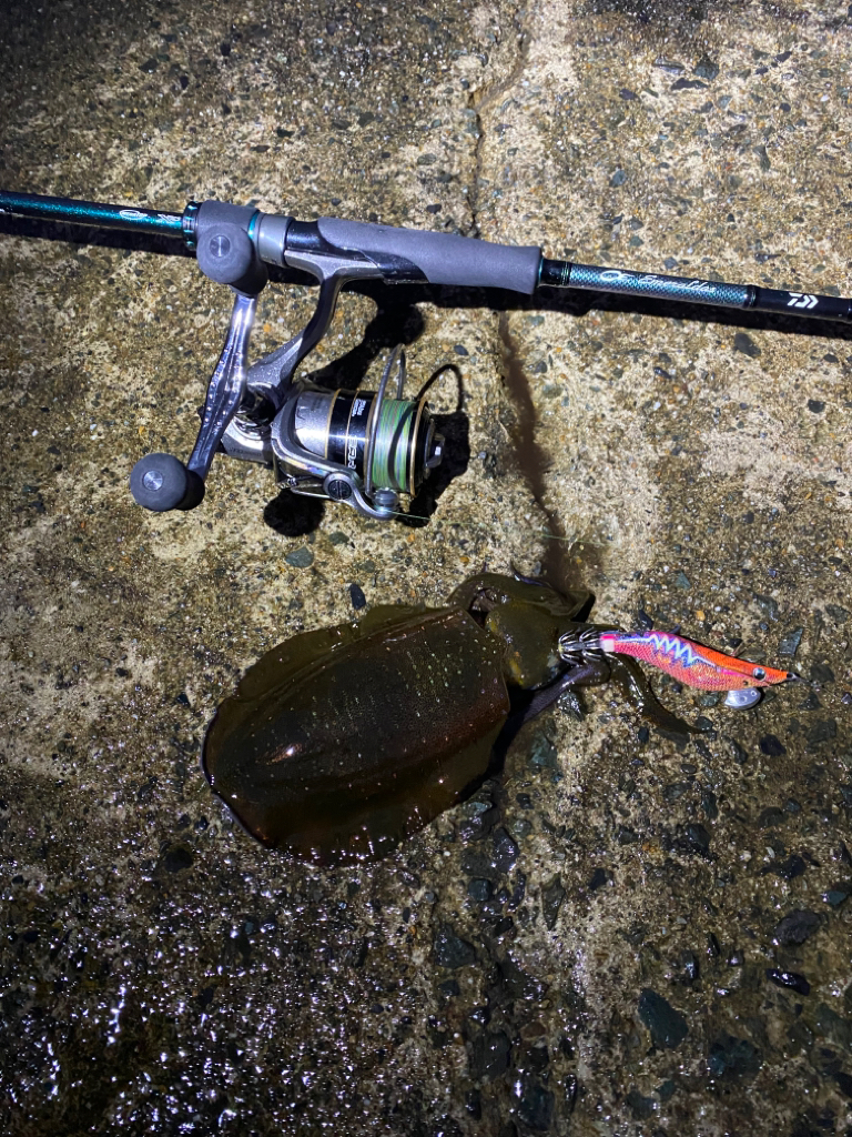 雨は昼からじゃなかった？