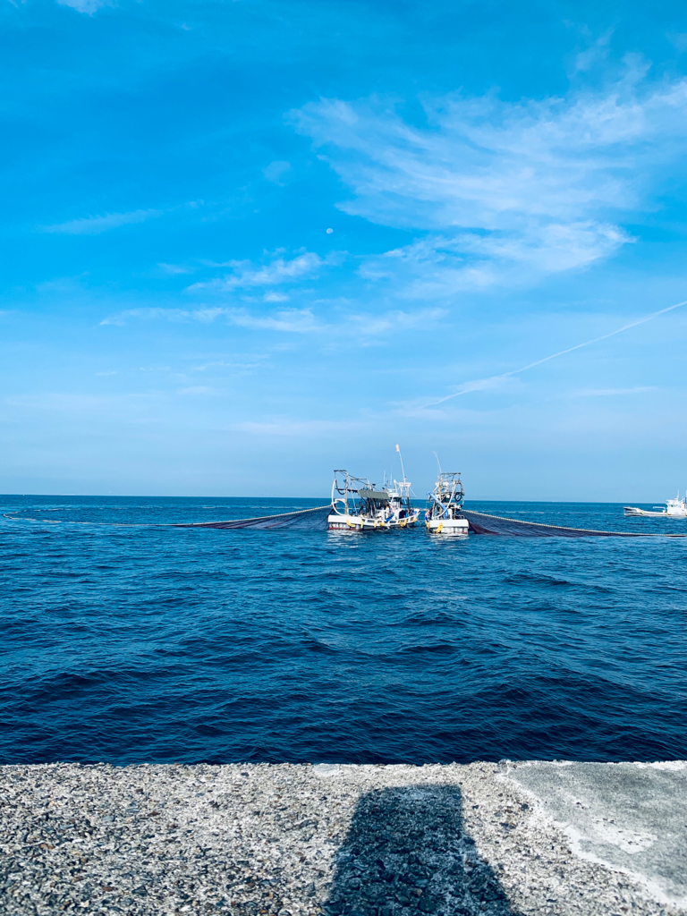 サバ祭りでした。