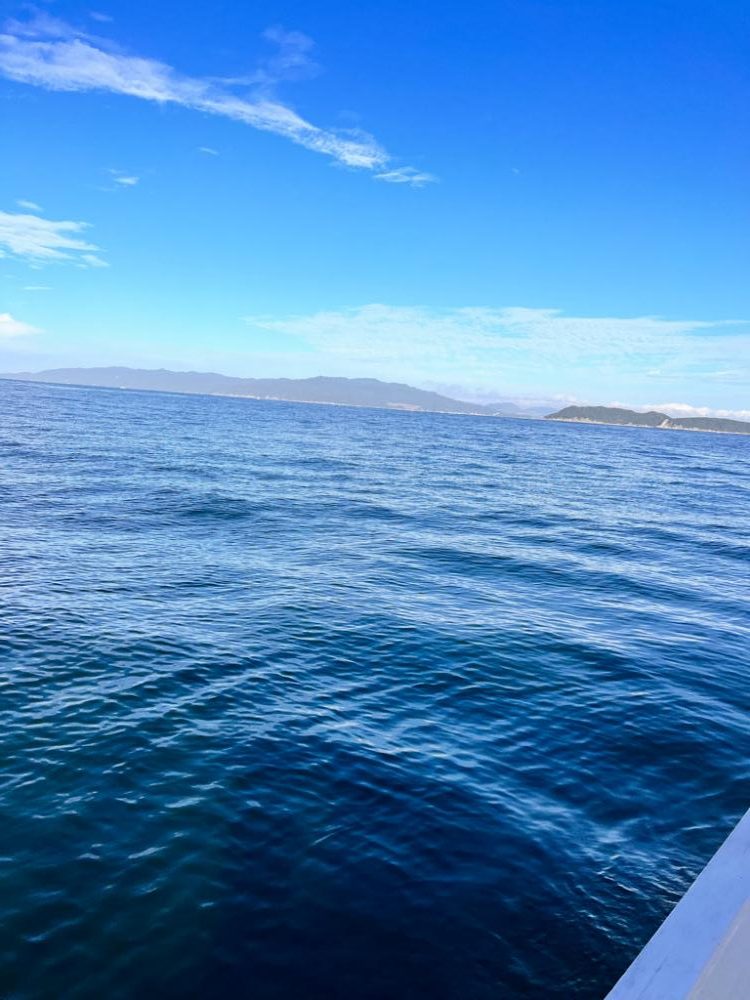 カワハギ釣り時々、鯛ラバ