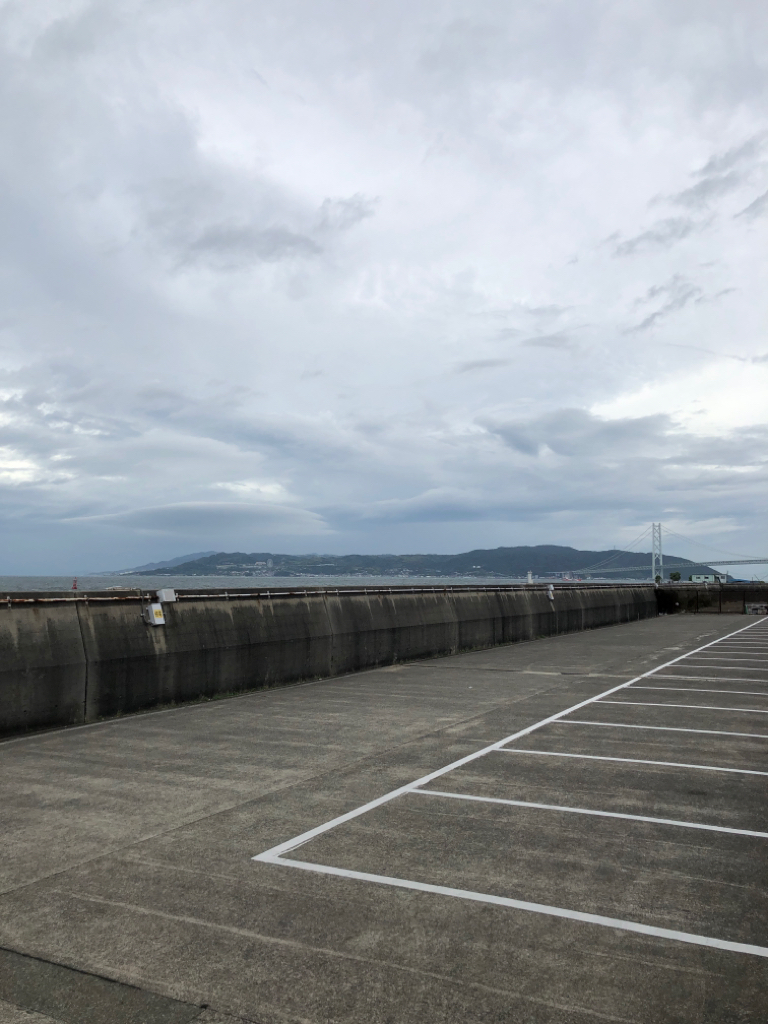 元気なカワハギ乱舞でしたー！