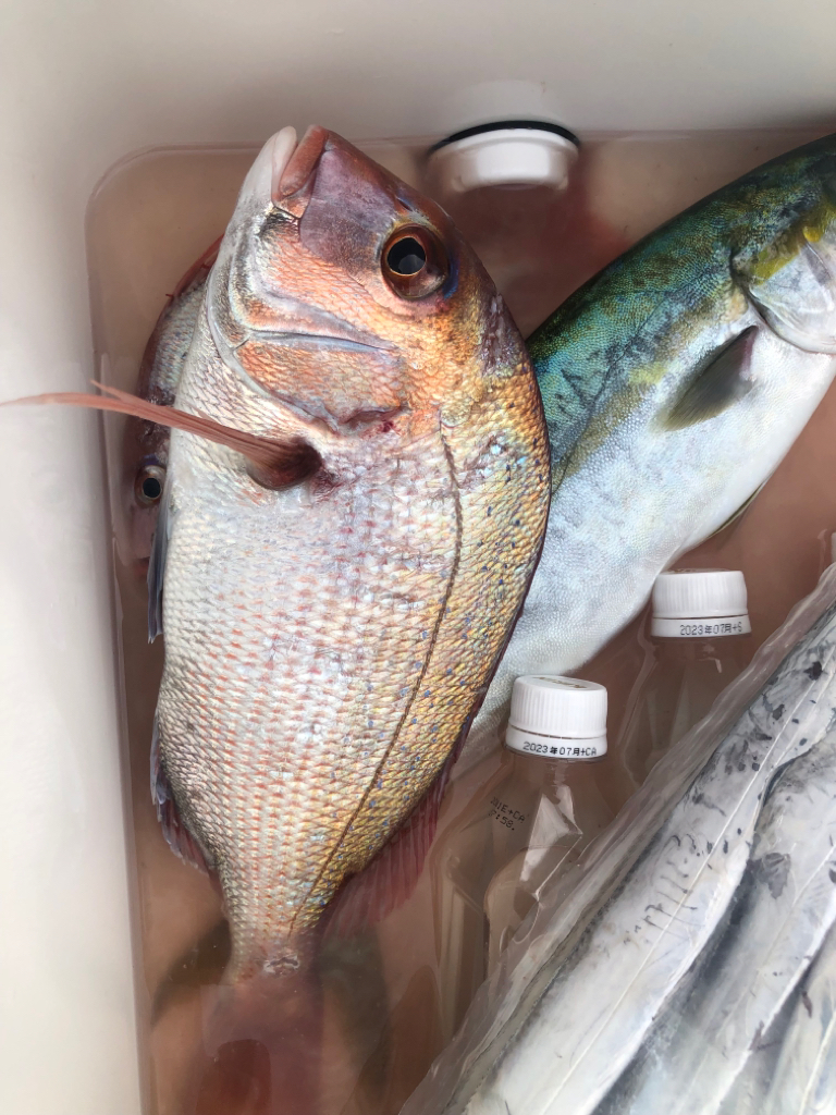 伊勢湾ジギング