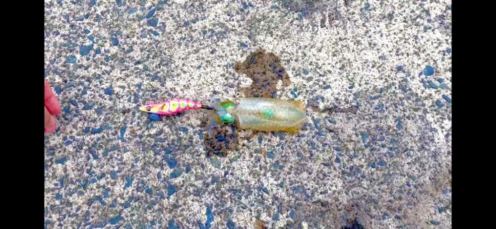 初めて投稿します。