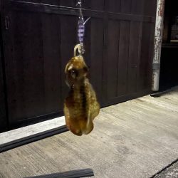 いつもの場所で