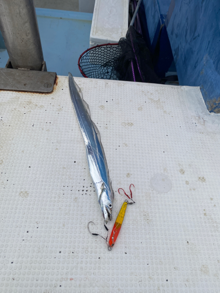 太刀魚　純栄丸