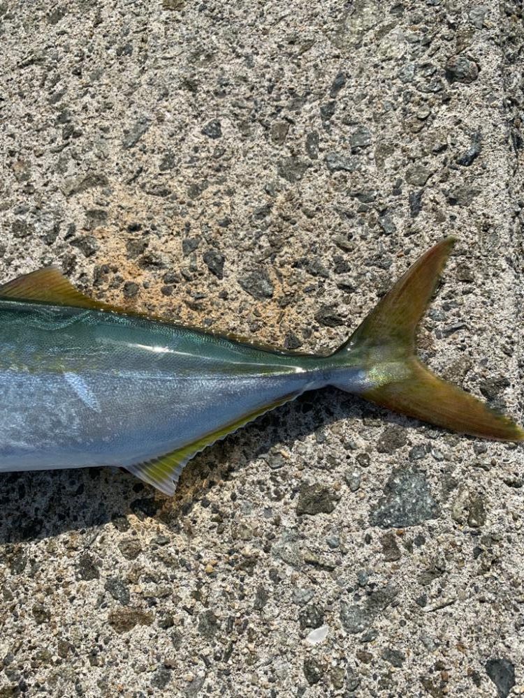 初の複数安打！